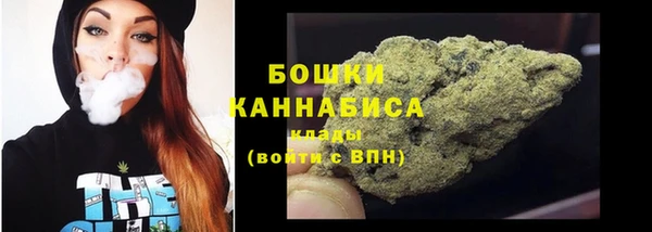 ALPHA PVP Чердынь