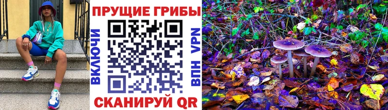 Галлюциногенные грибы прущие грибы  что такое   Мостовской 